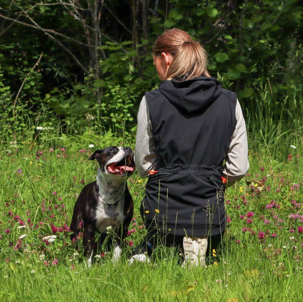 FB_IMG_1766479242279