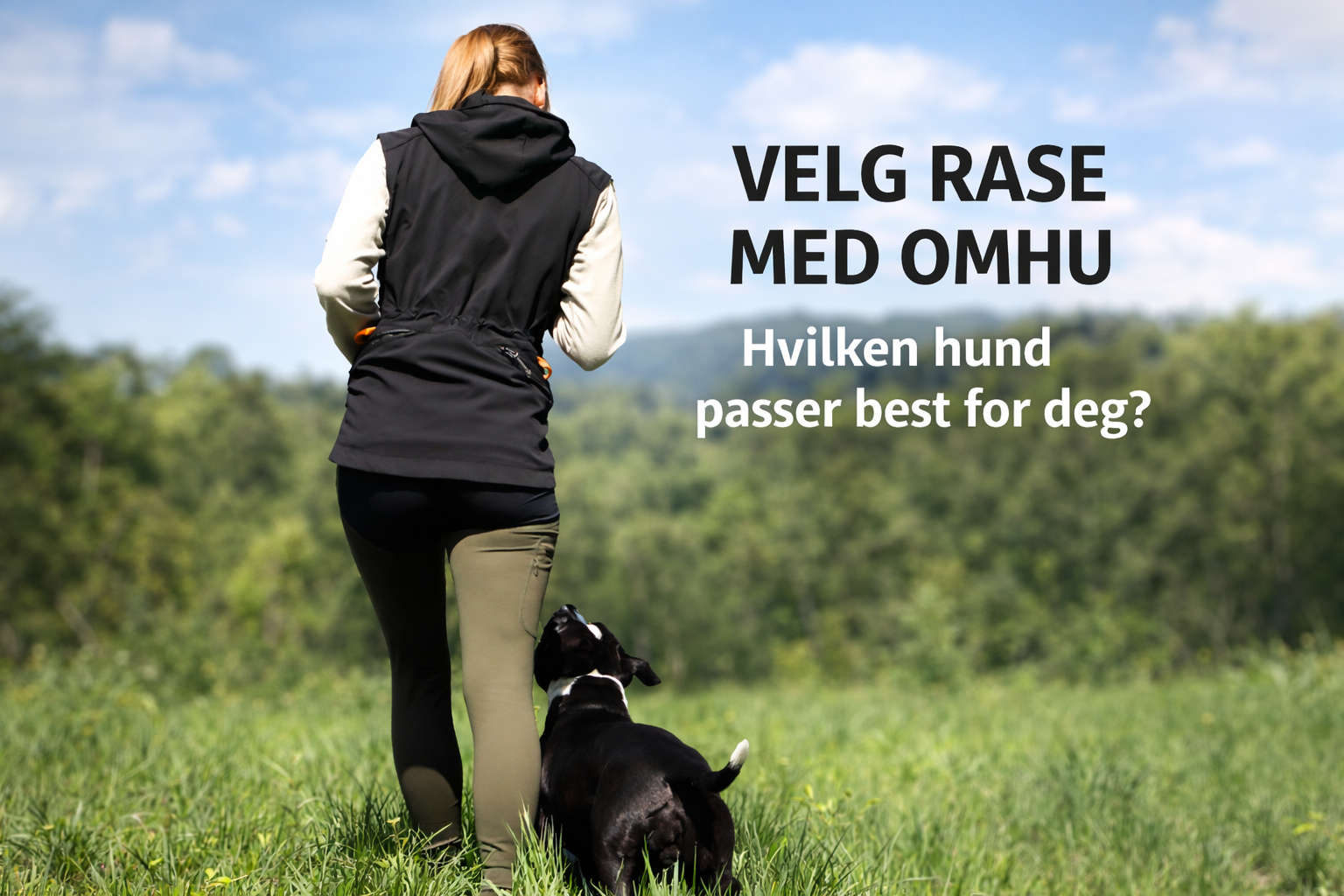 file_00000000af8071f49e6123333cb37af2 (1)